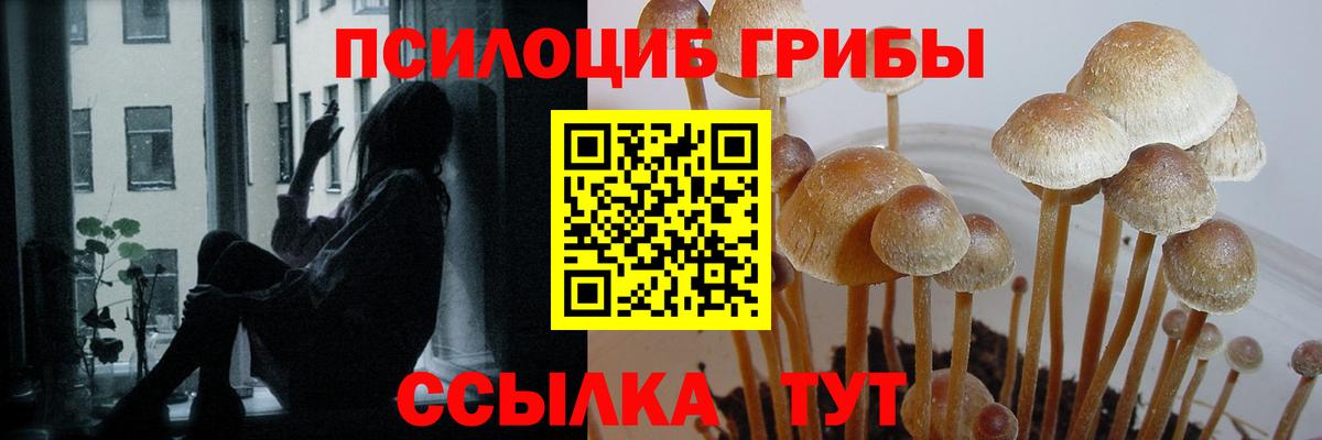 Галлюциногенные грибы Cubensis  Вход с VPN  Великие Луки  Галлюциногенные грибы GOLDEN TEACHER 